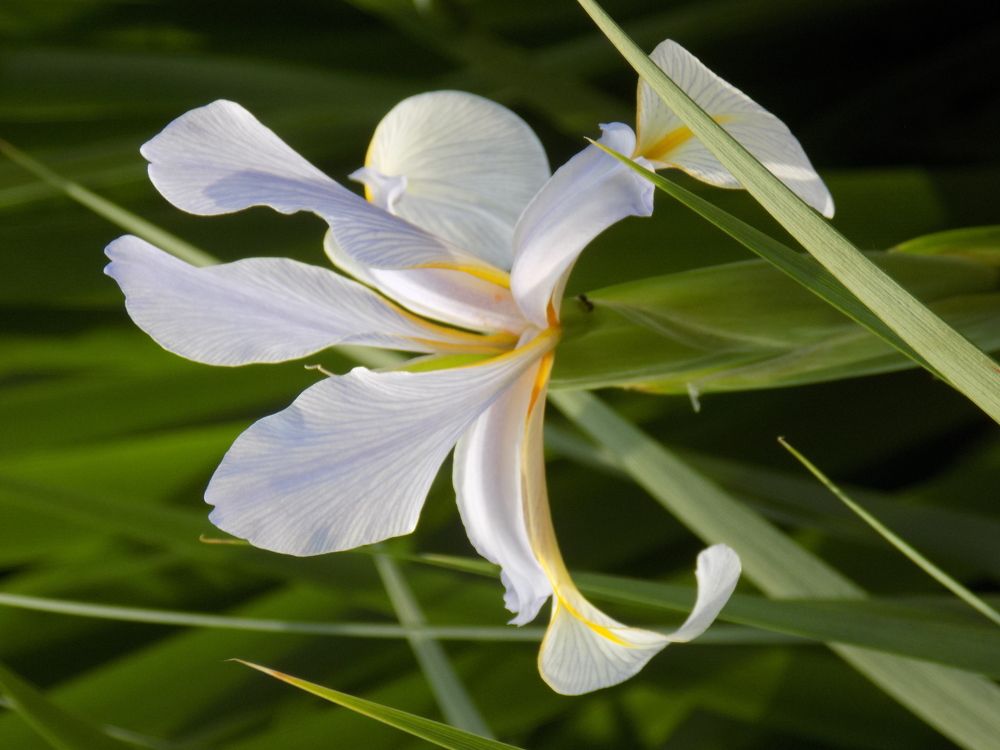 Фотография автора Станислав Рушкис