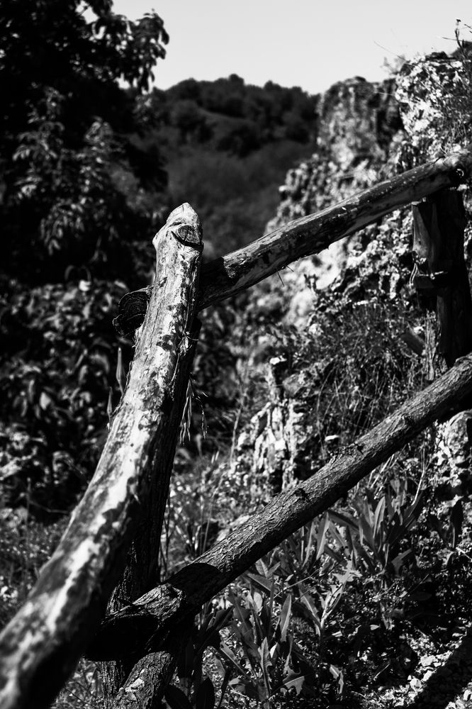 Photograph by Kristiyana Ignatova