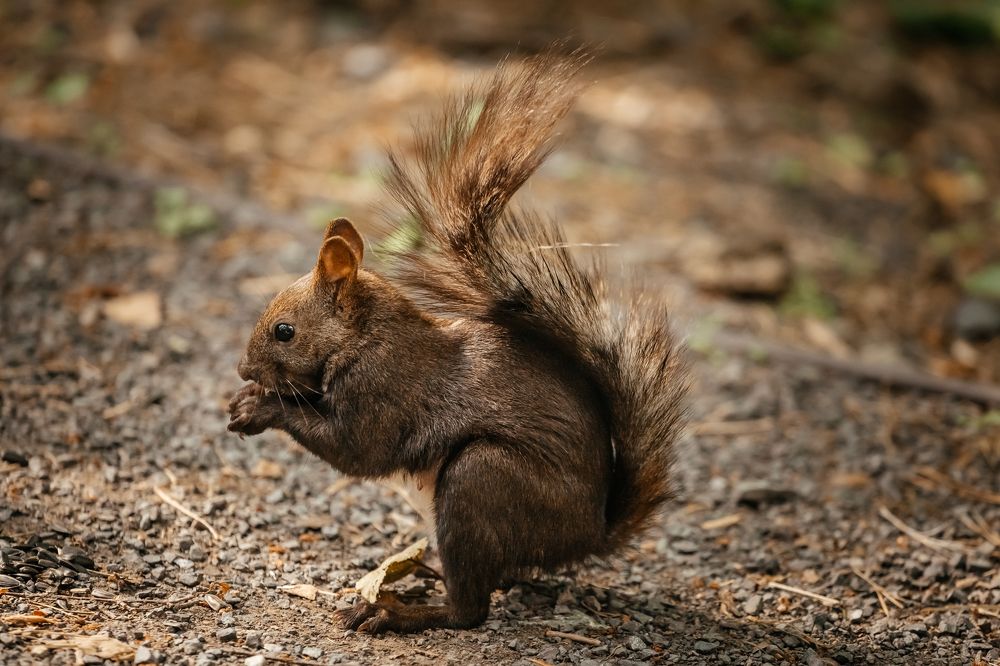 Photograph by Оксана Корчагина