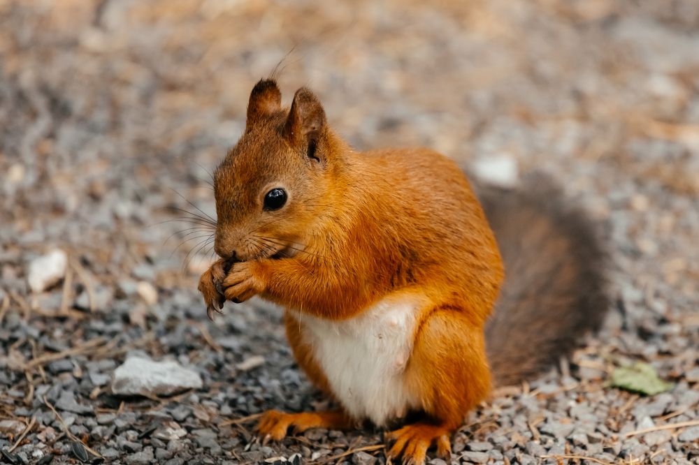 Photograph by Оксана Корчагина