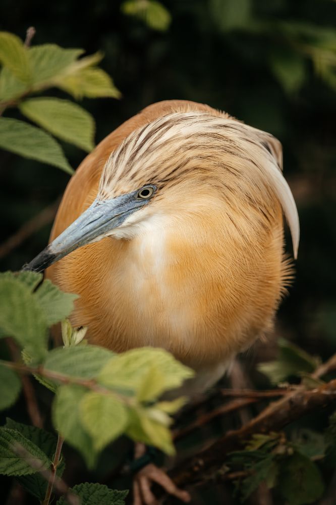 Photograph by Оксана Корчагина