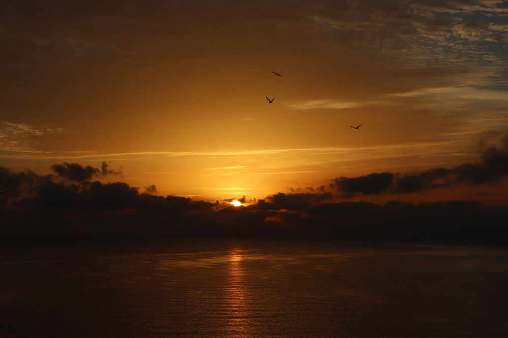 Photograph by Kristiyana Ignatova