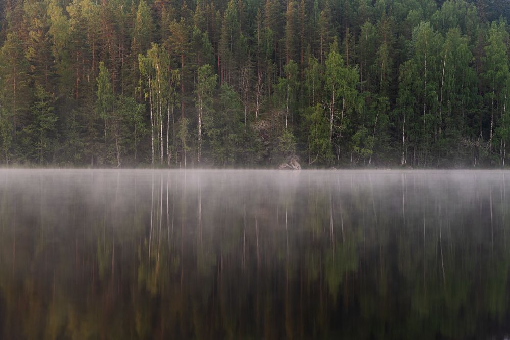 Июньское утро в Карелии