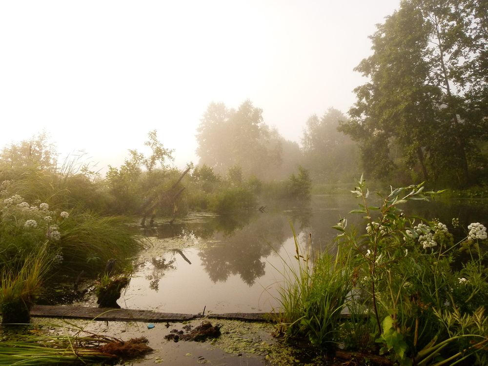 Photo #6328812