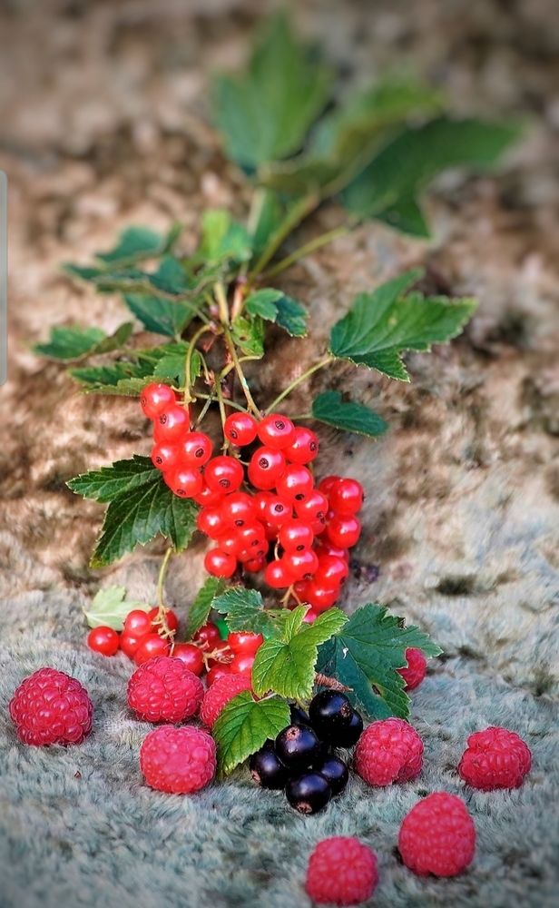 Photograph by Марина Безенкина