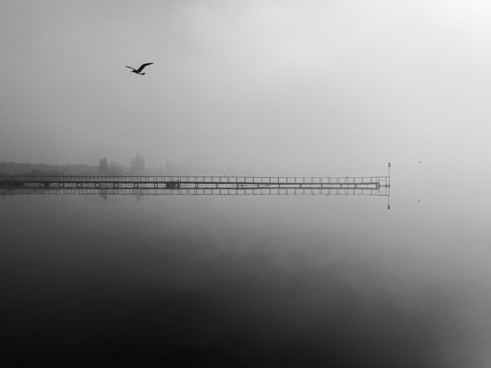 Туманное утро