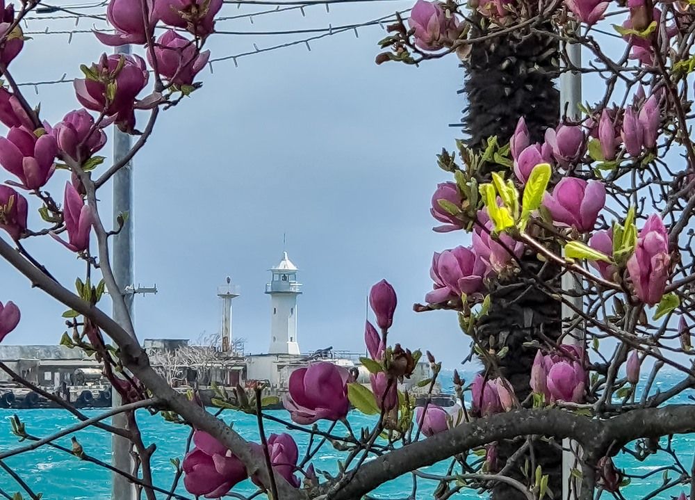 Photograph by mikhail goryachev