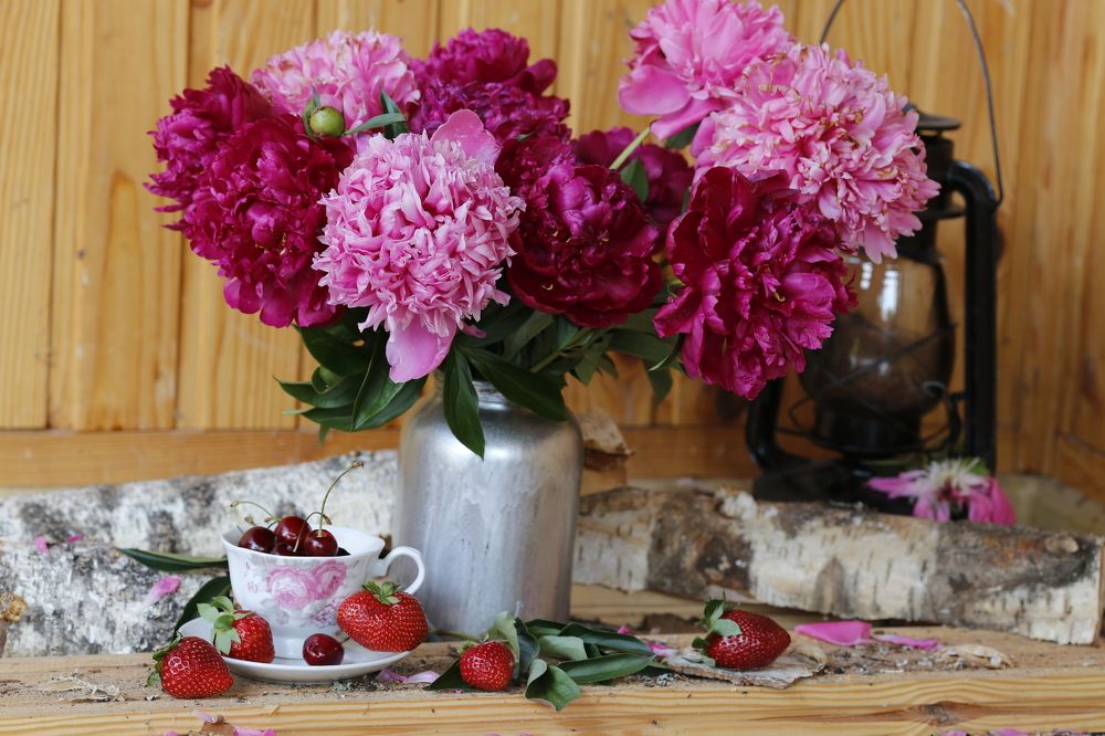 Photograph by Елена Буканина