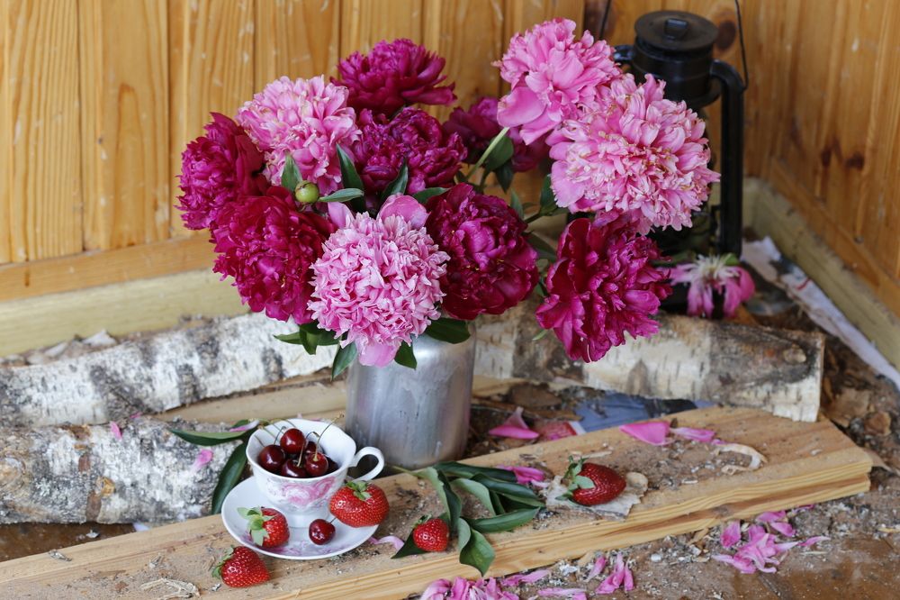 Photograph by Елена Буканина