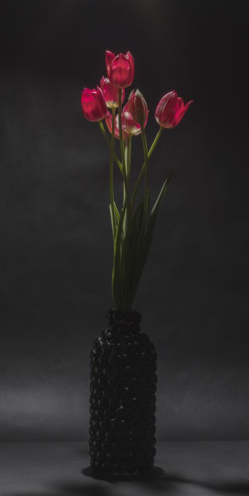 Натюрморт с тюльпанами