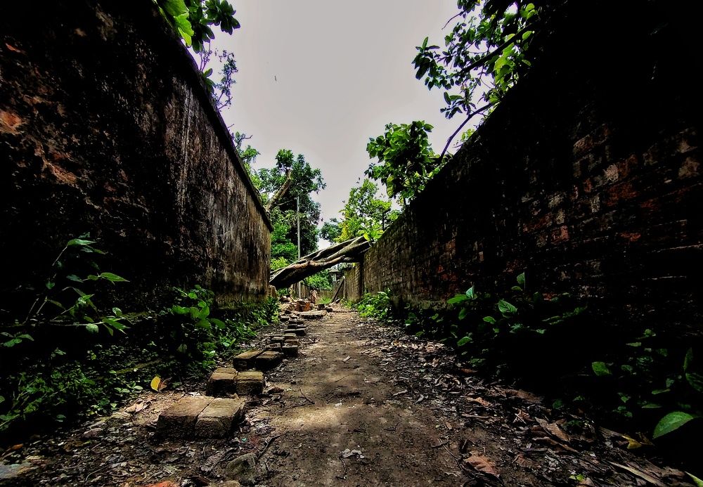 Фотография автора SUROJIT DAS