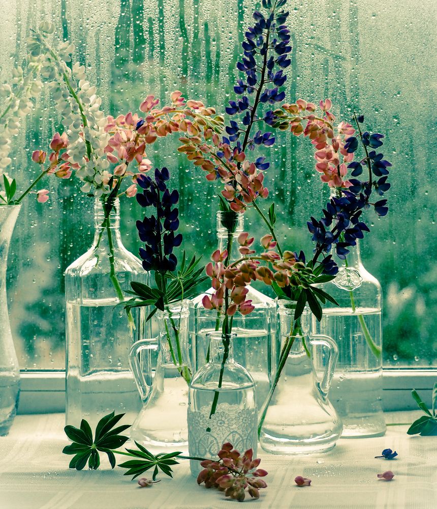 Фотография автора Olena Vorotyntseva