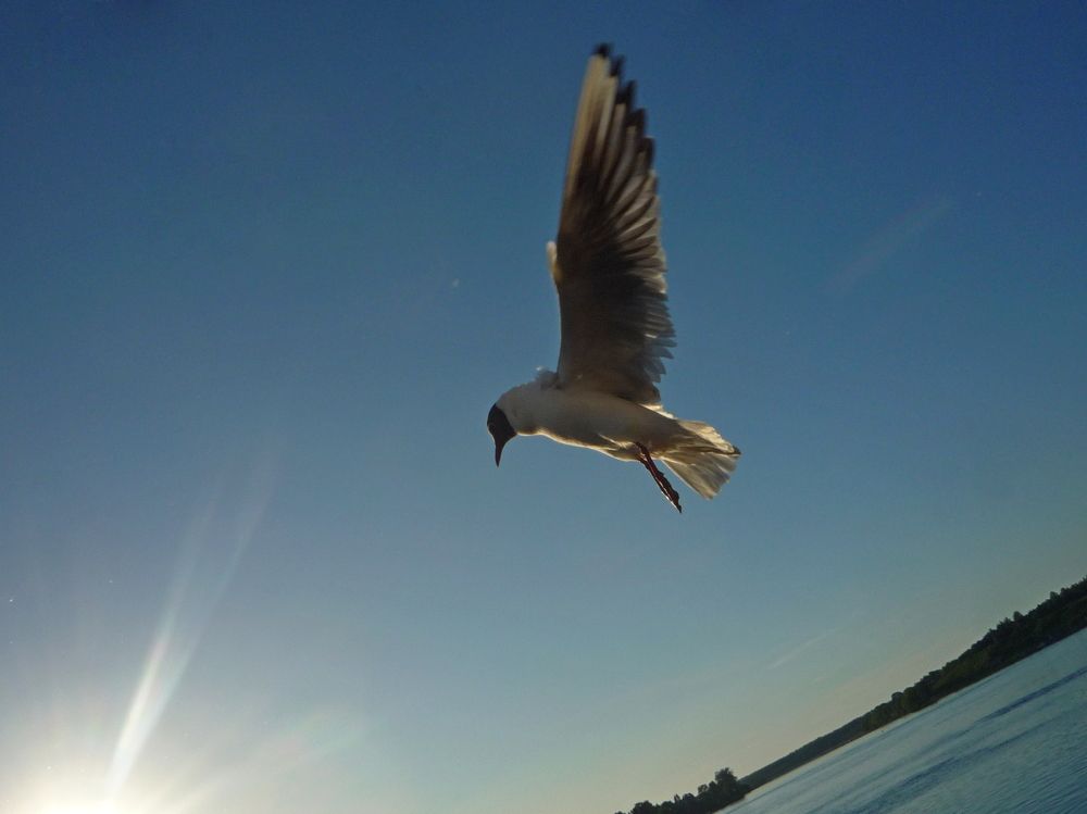 Photograph by Людмила Викулова