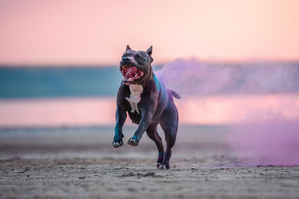 Photograph by Виола Поликарпова