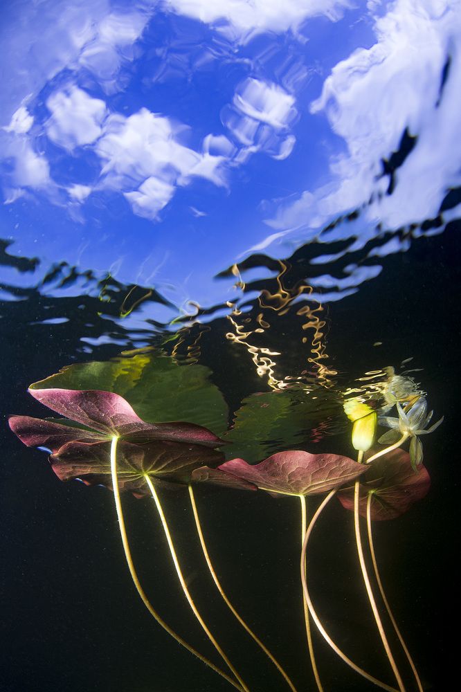 Photograph by Оксана Каменская