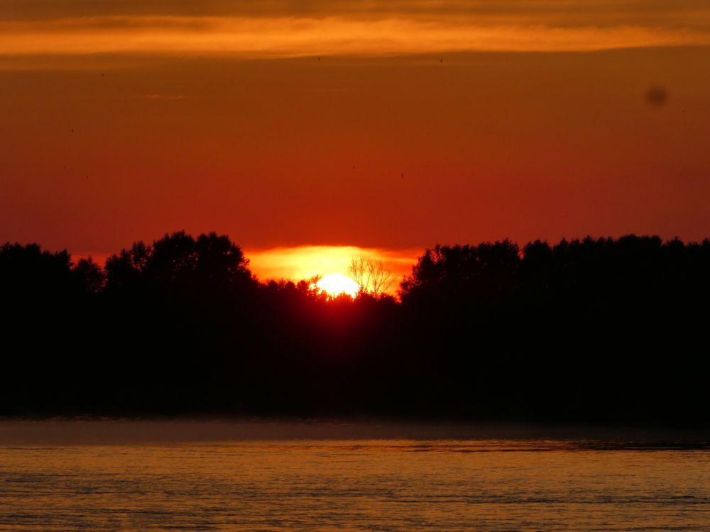 Photograph by Андрей Садчиков