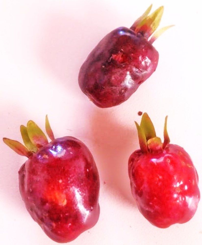 Photograph by Julio Cesar Almeida