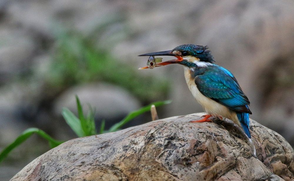 Photograph by Cohen Isaac