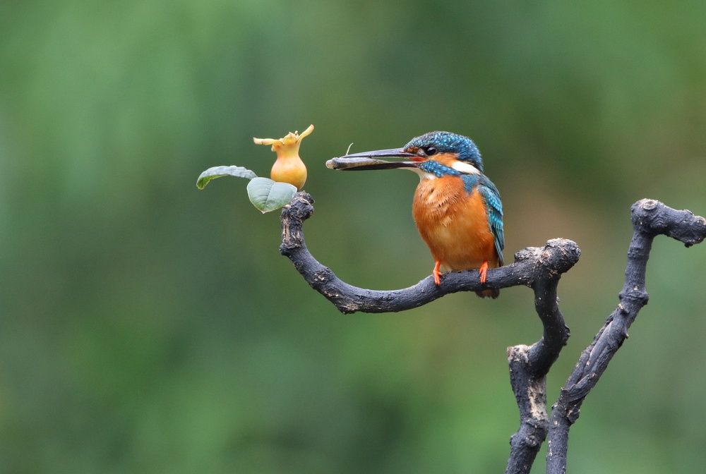 Photograph by Cohen Isaac