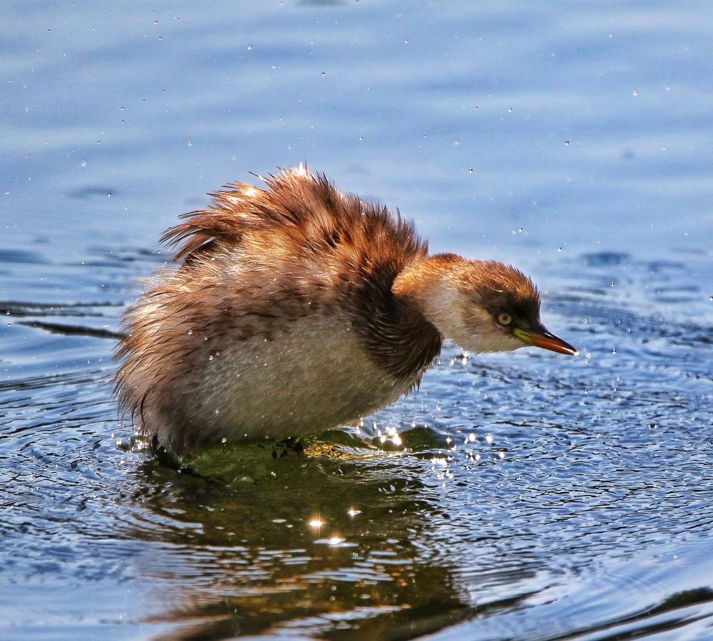 Photograph by Cohen Isaac