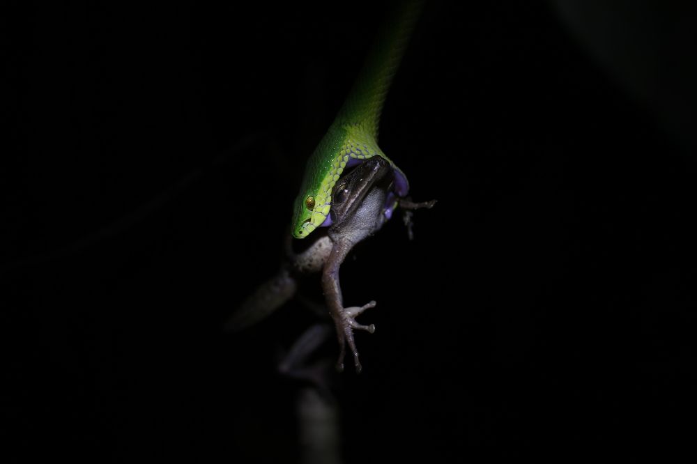 Photograph by Cohen Isaac