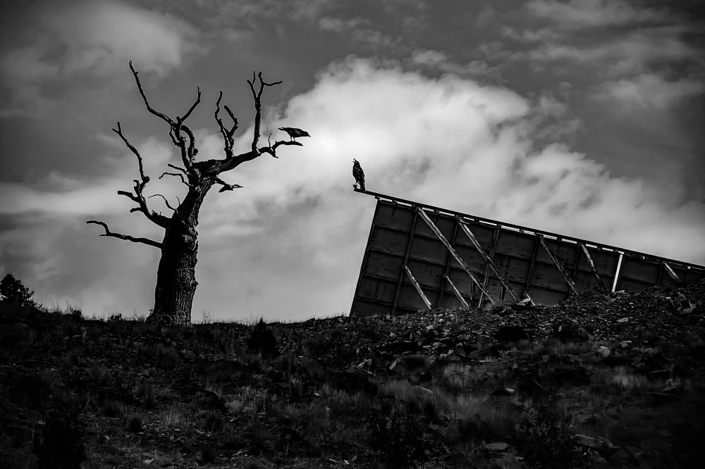 The moment of separation