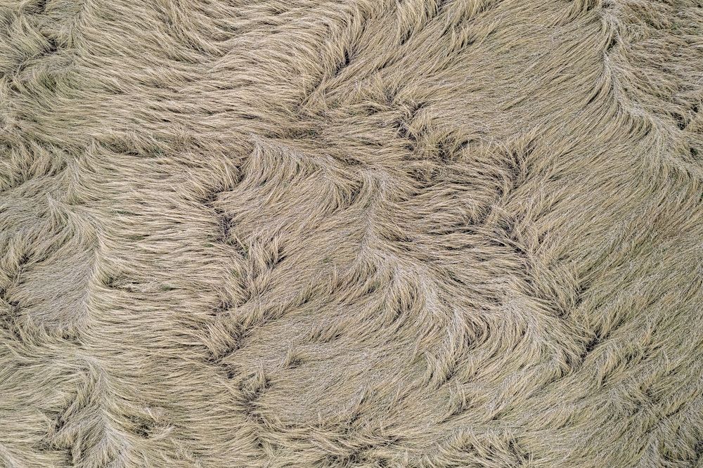 Photograph by Юрий Чернов