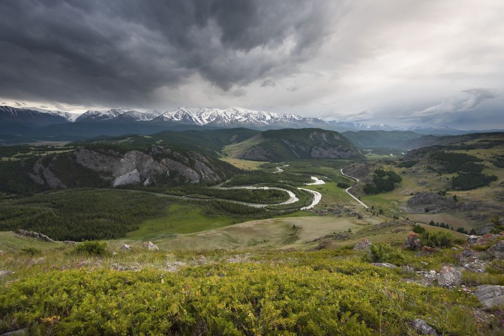 Photograph by Елена Вторушина