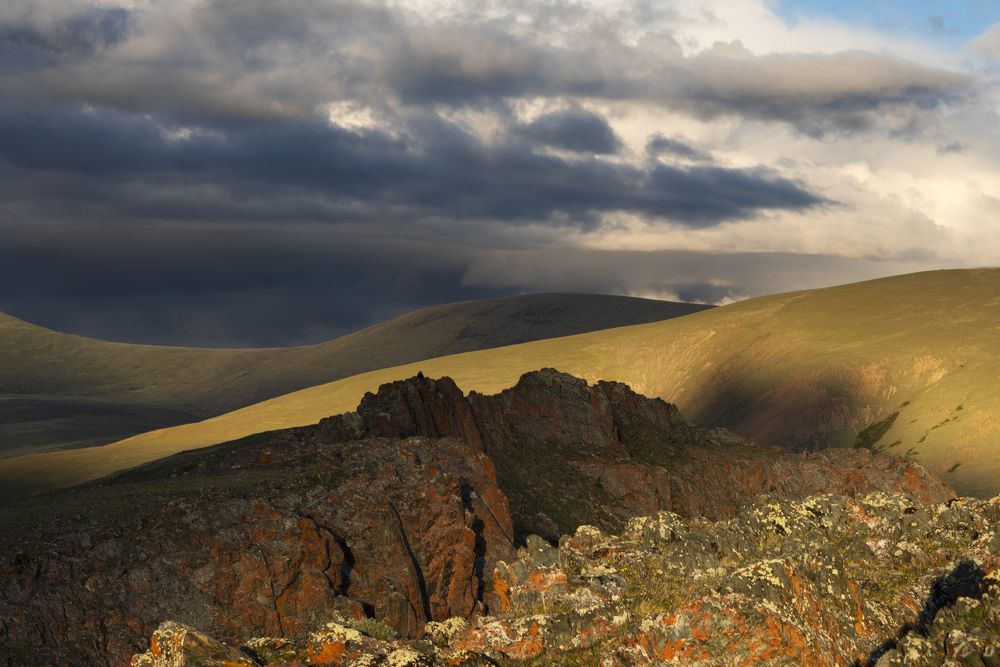 Photograph by Елена Вторушина