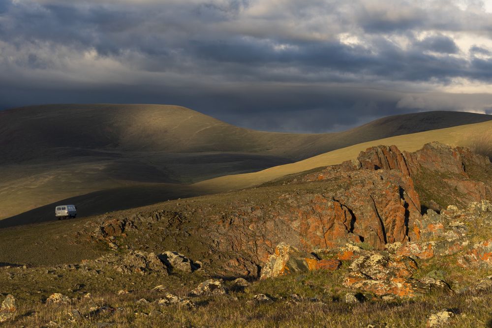 Photograph by Елена Вторушина