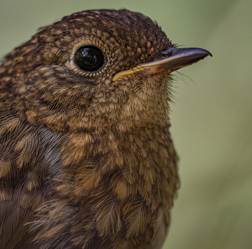 Photograph by Курлянцев Алексей
