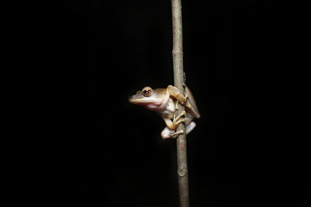 Photograph by Cohen Isaac