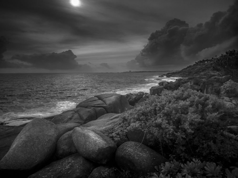 Photograph by pouyan safavi