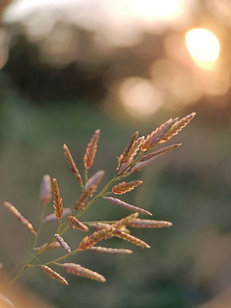 Photograph by Роман Красношапка