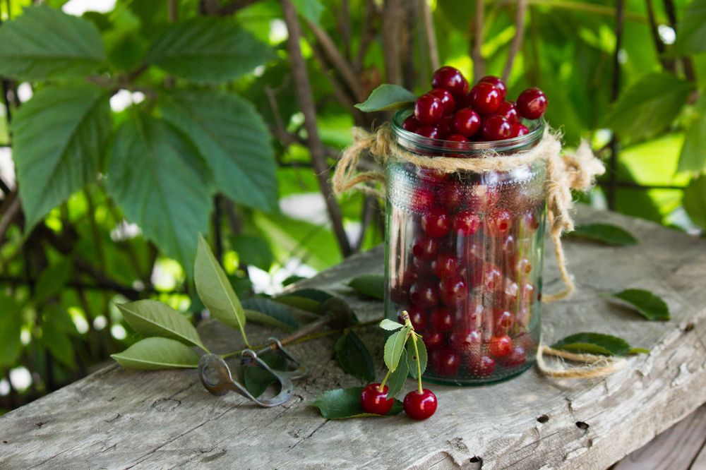 Photograph by Natalia Shilova