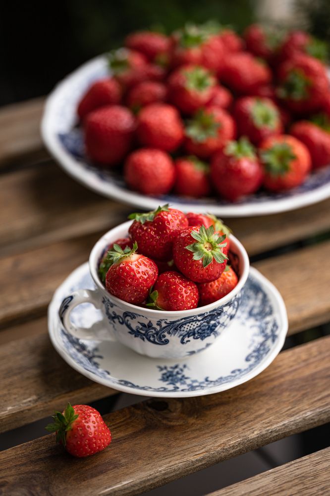 Photograph by Yuliia Pashentseva