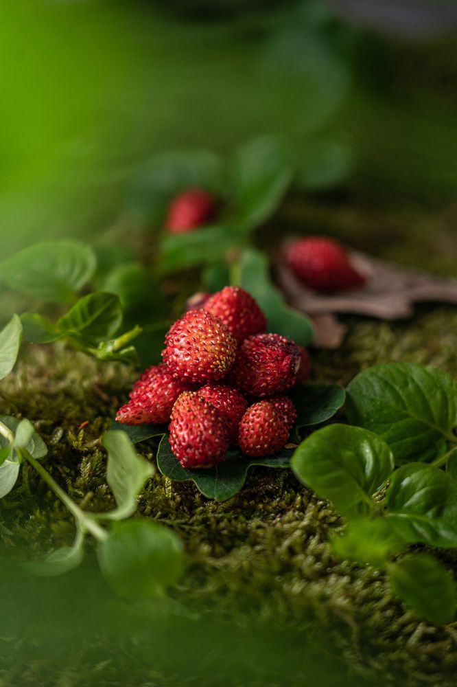 Photograph by Yuliia Pashentseva