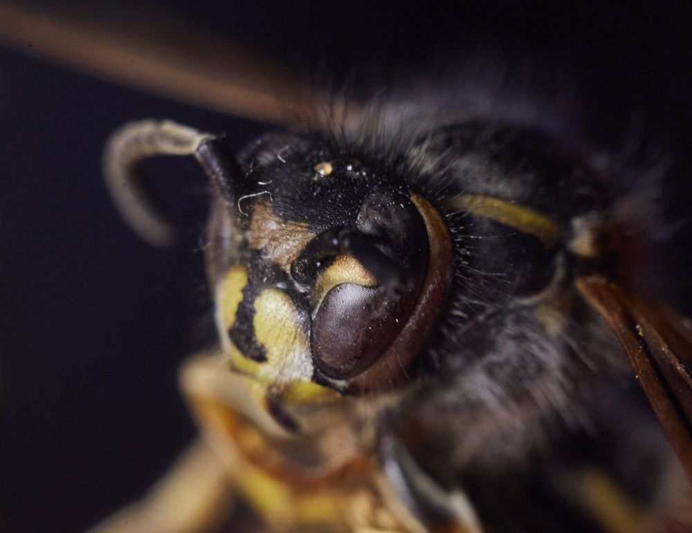 Photograph by Андрей Мертвищев