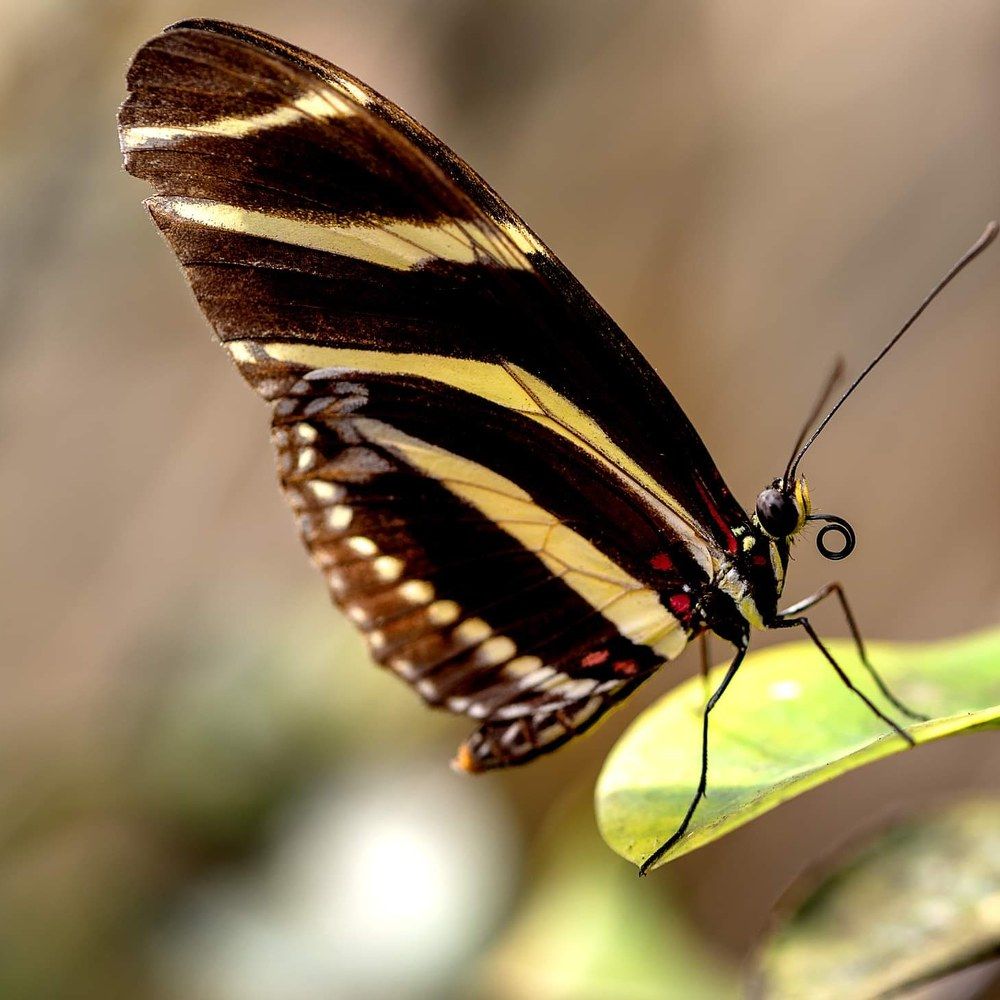 Photograph by Sabina Tomala