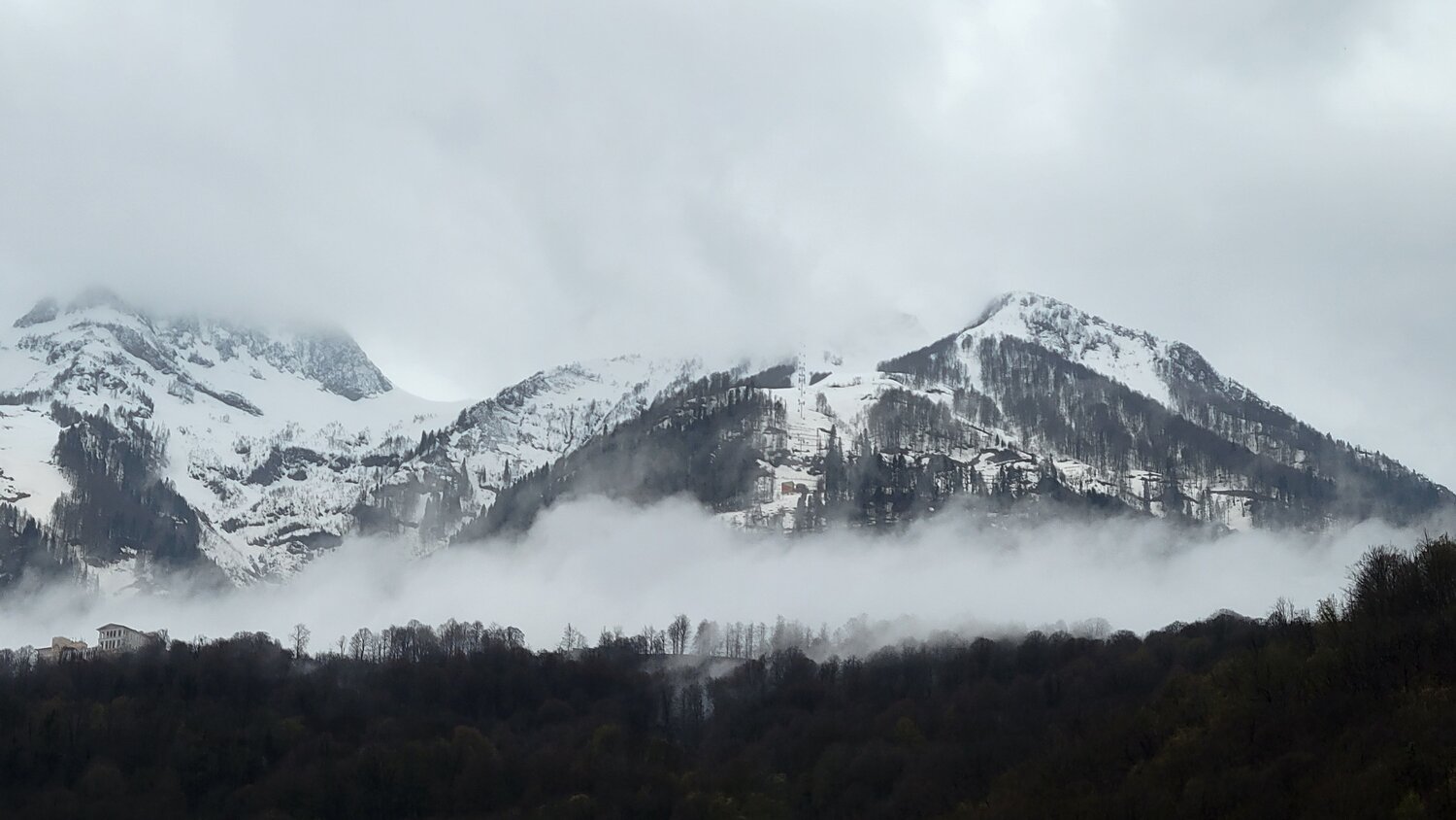 Photo #6330581