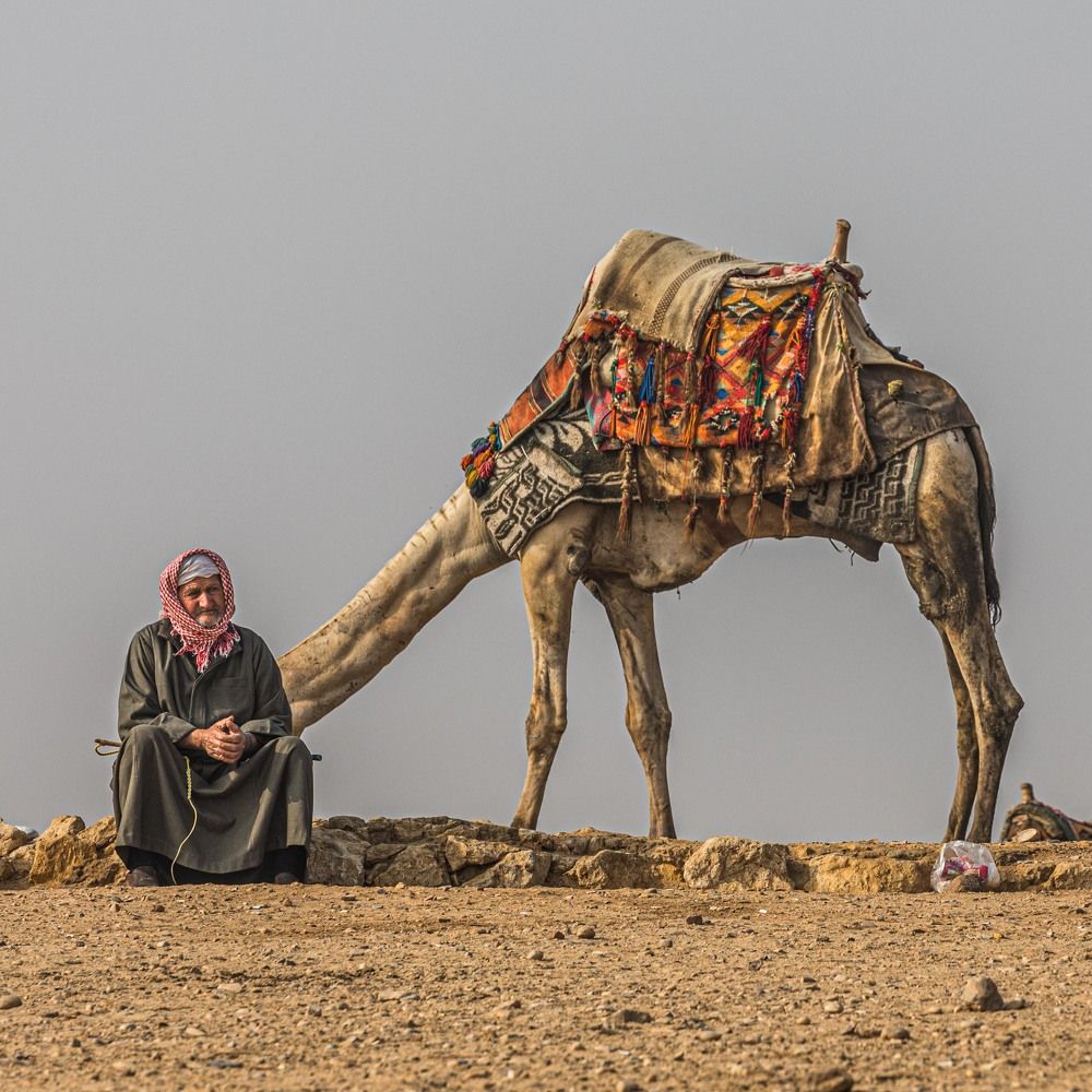 Человек-верблюд