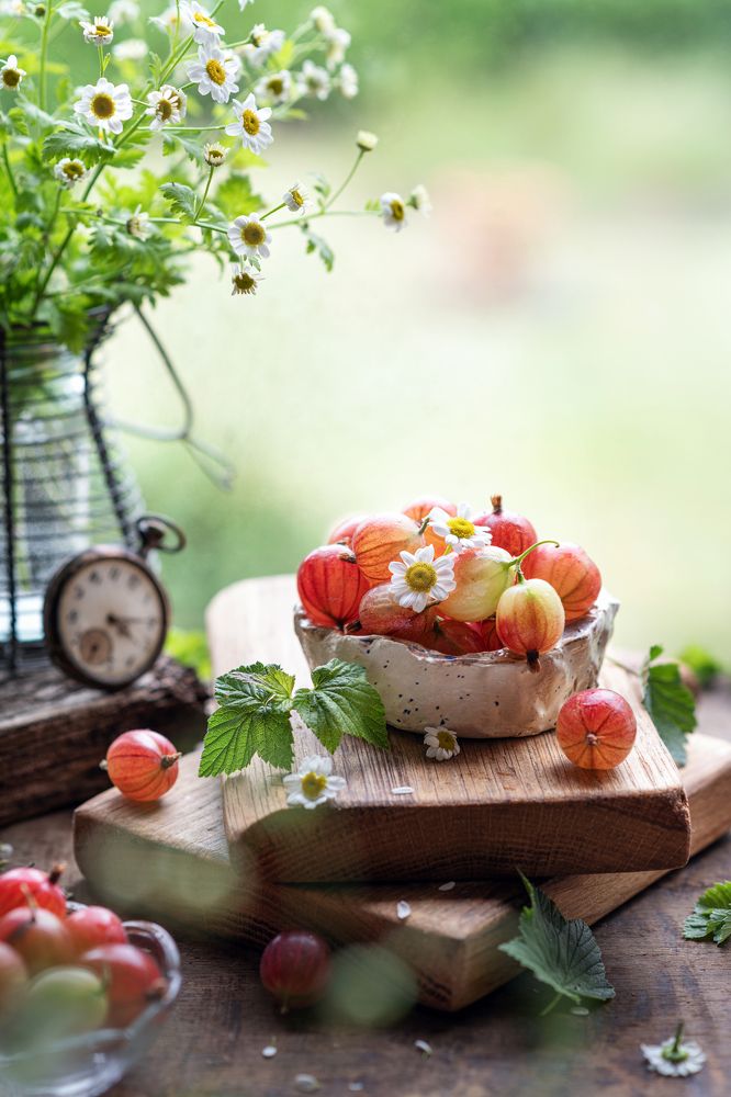 Фотография автора Thuy Duong Nguyen