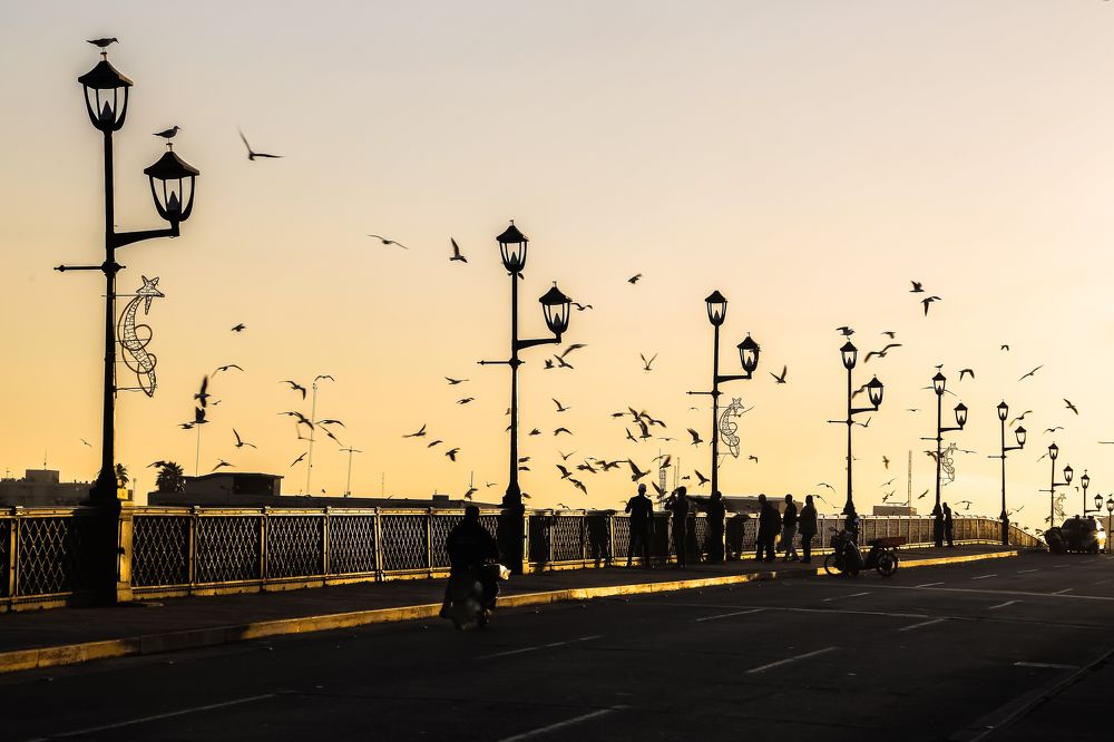 Photograph by meethaq naeem