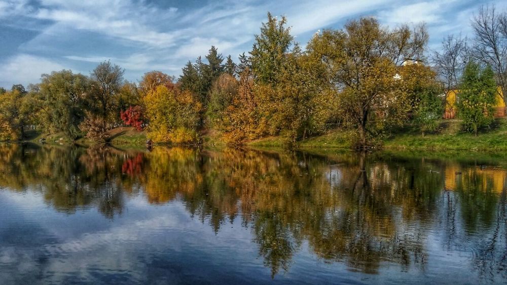 Photograph by Дарья