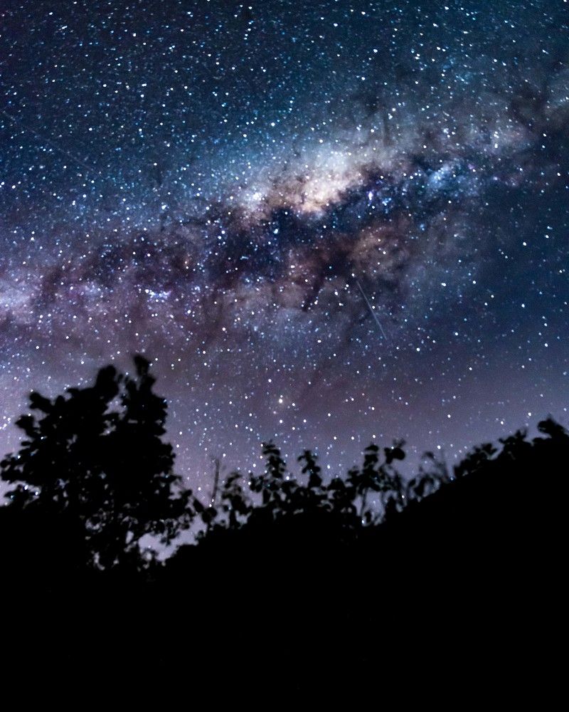 Photograph by Andrew Li