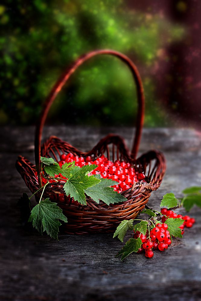 Photograph by Надежда Тарасенко