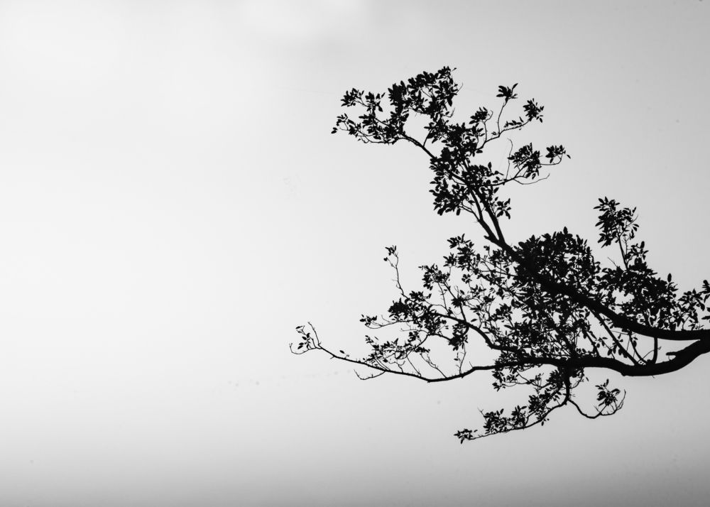 Photograph by Ankan Das