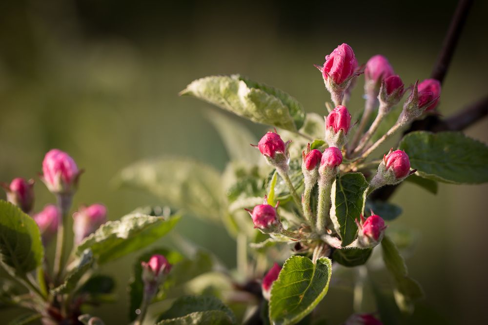 Photograph by Дмитрий Зеленько