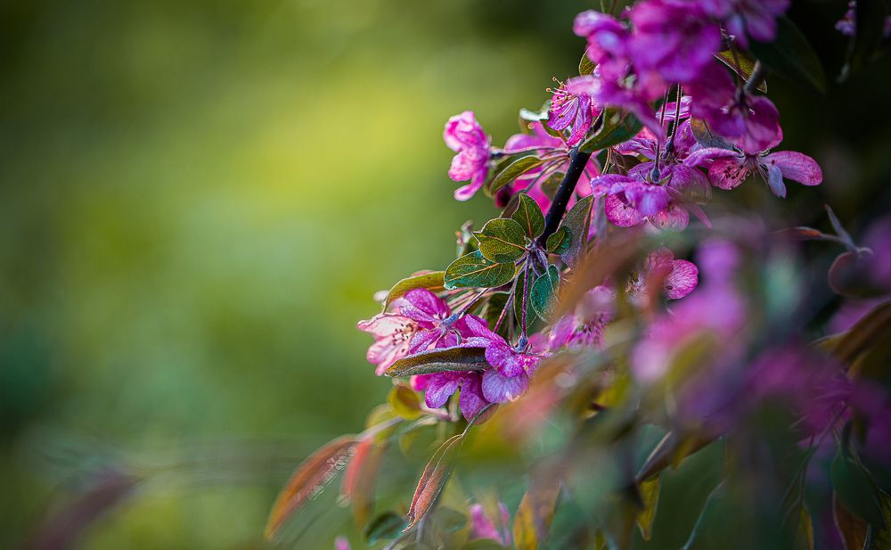 Photograph by Дмитрий Зеленько