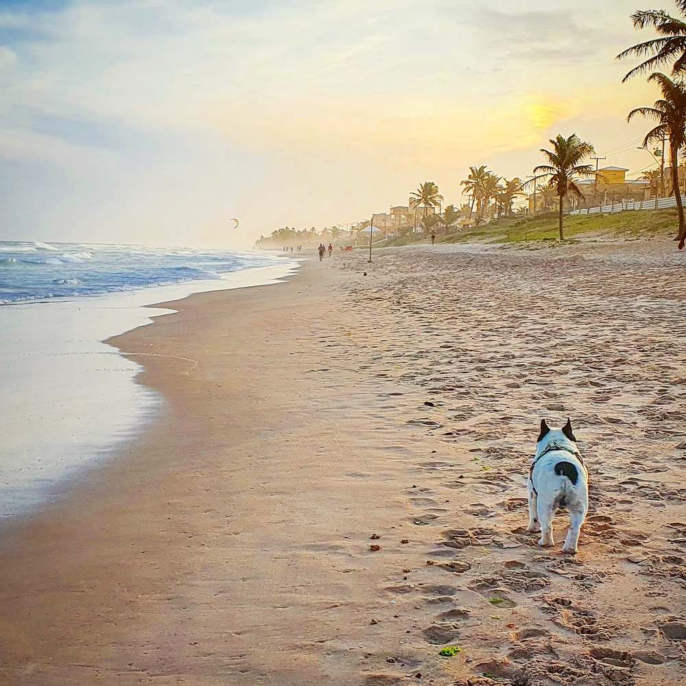 Photograph by Luis Borges